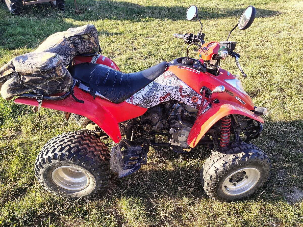 Kymco kxr250