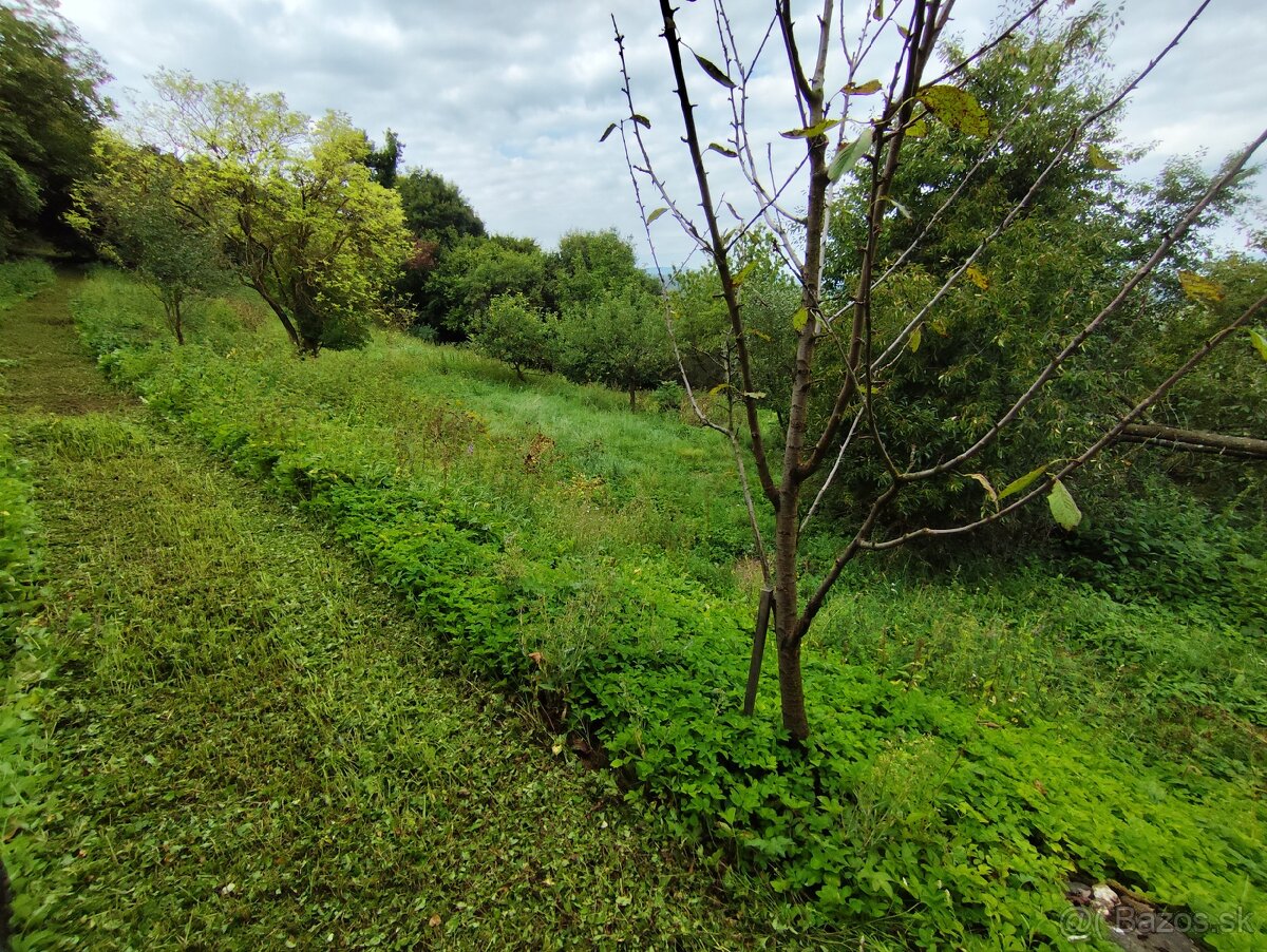 Čistenie a mulčovanie pozemkov, odstraňovanie náletov - 4
