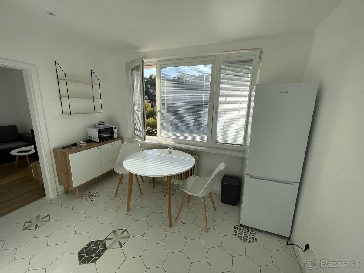 1 izbový byt na prenájom - 4