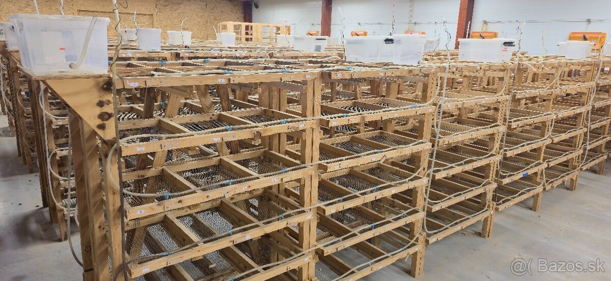 KOMPLETNÝCH RACK SYSTÉMOV PRE HLODAVCE - 4