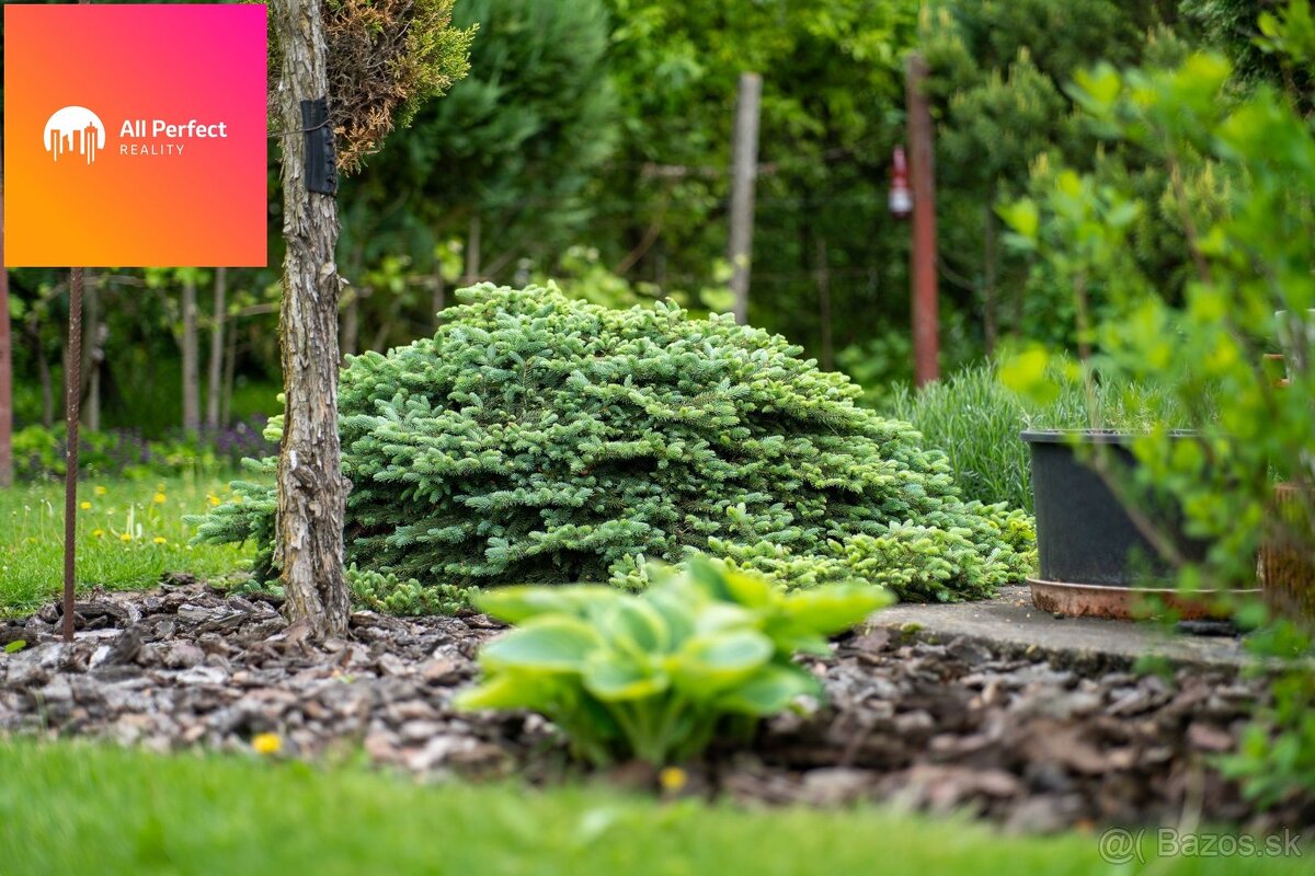 Na predaj rodinný dom s bazénom v Opoji - 4