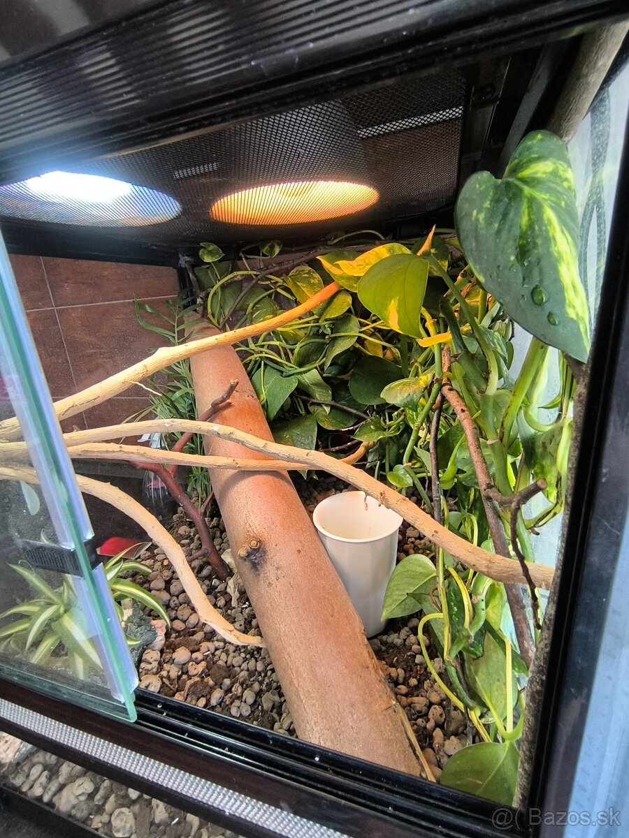 Terarium 46x46x46 - 4