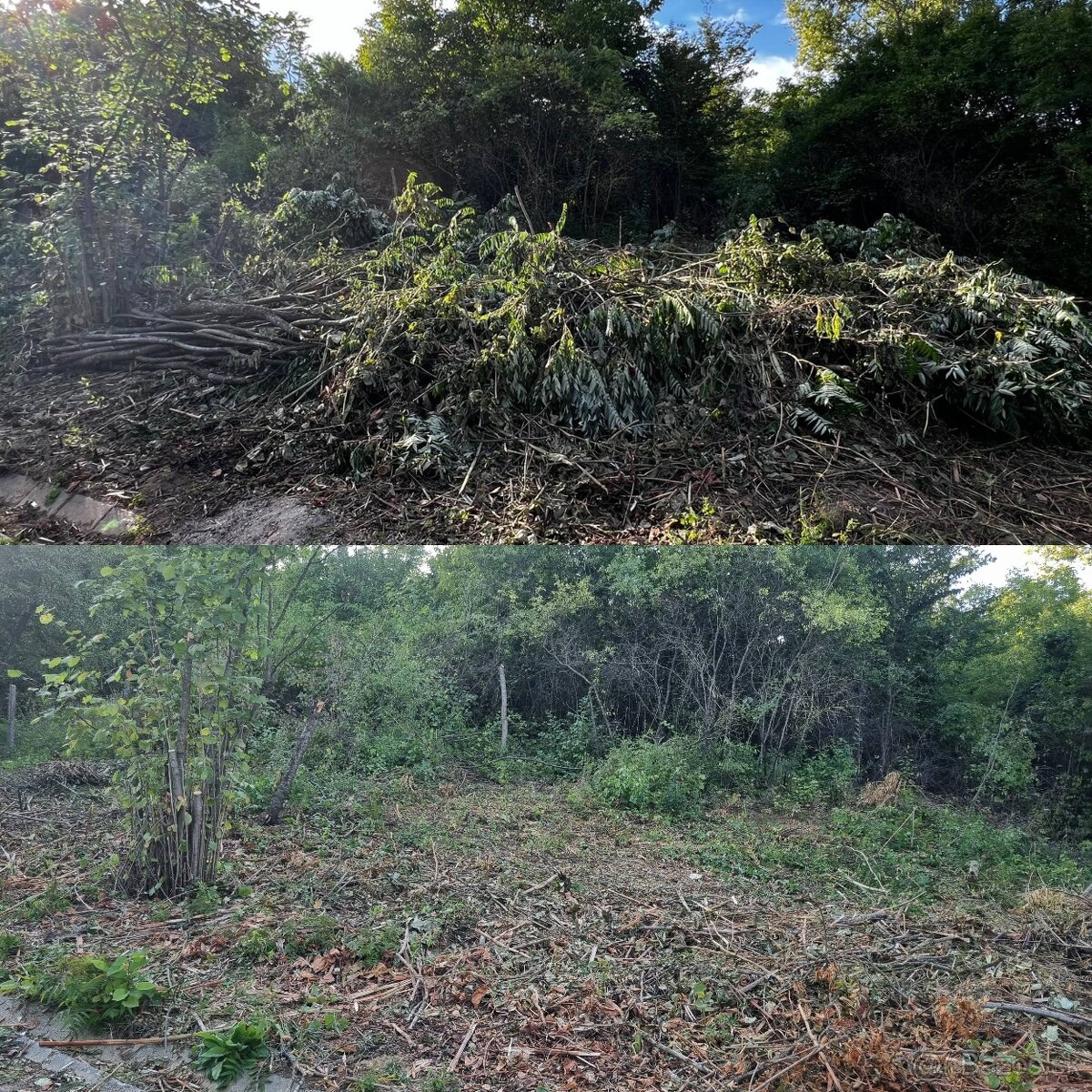 Práce s malotraktorom , kosenie , mulčovanie - 4