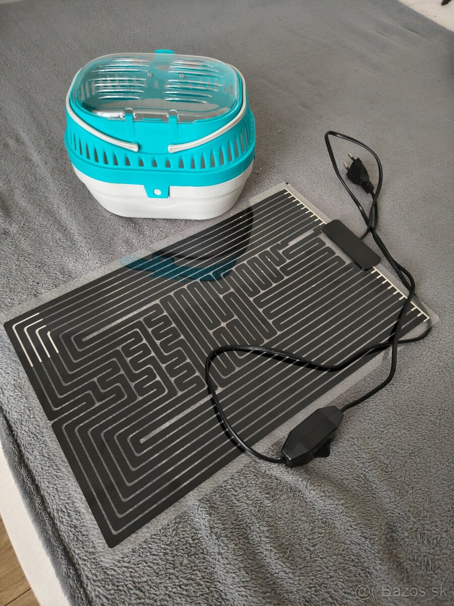 Ježko bielobruchý - 4