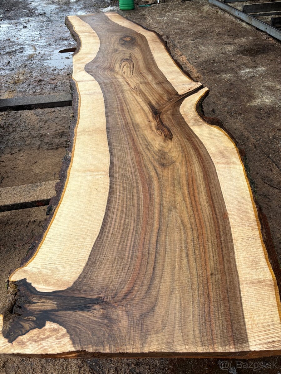 Rezivo Orech Orechové Fošne - 4