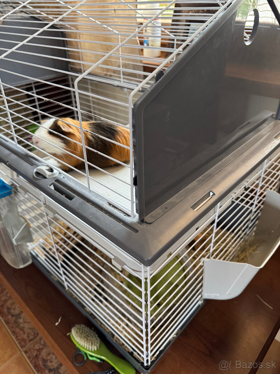 Klietka pre hlodavce veľká + prepravka zdarma - 4