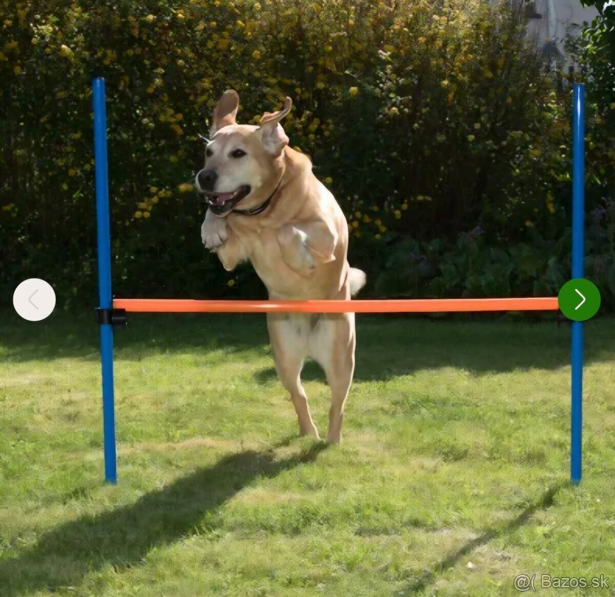 Agility prekážky - 4