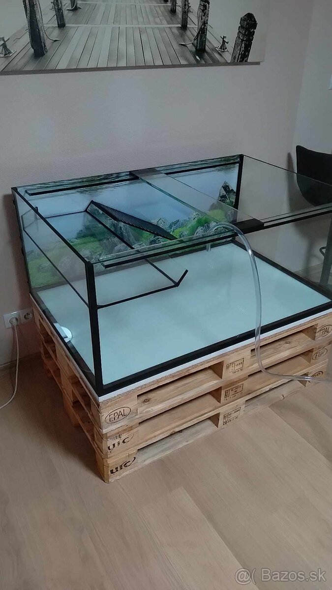 PREDAM VELKE AKVARIUM PRE VODNU KORYTNACKU - 4