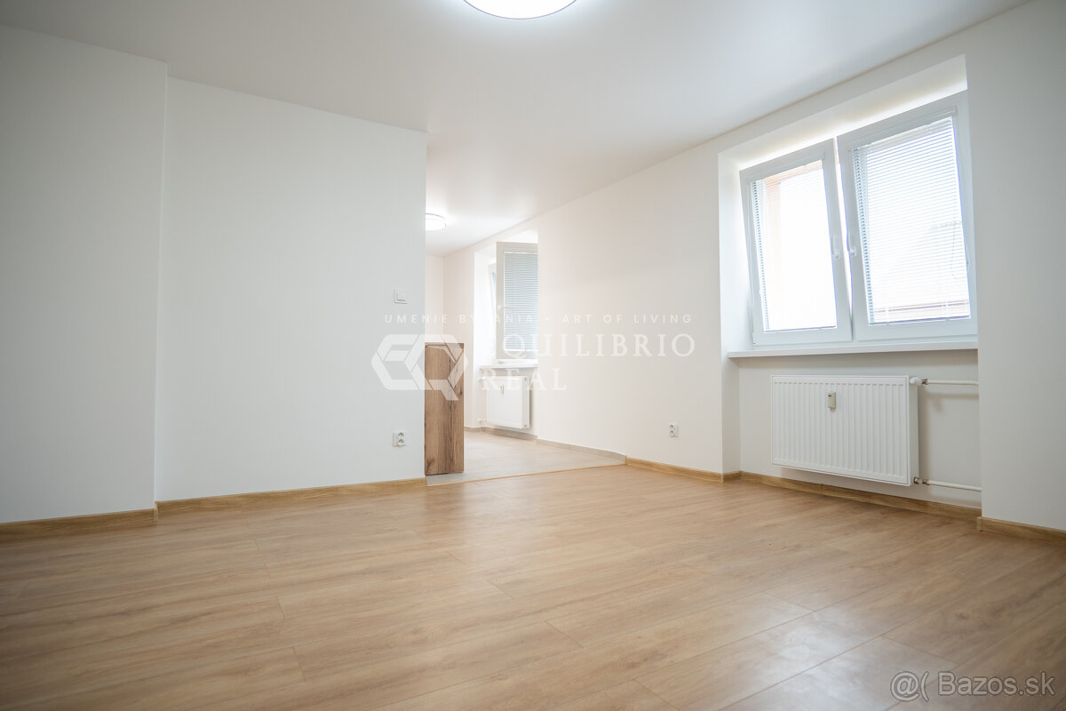 TOP CENOVÁ PONUKA - 3 IZBOVÝ BYT PO REKONŠTRUKCII V ŠACI - 4