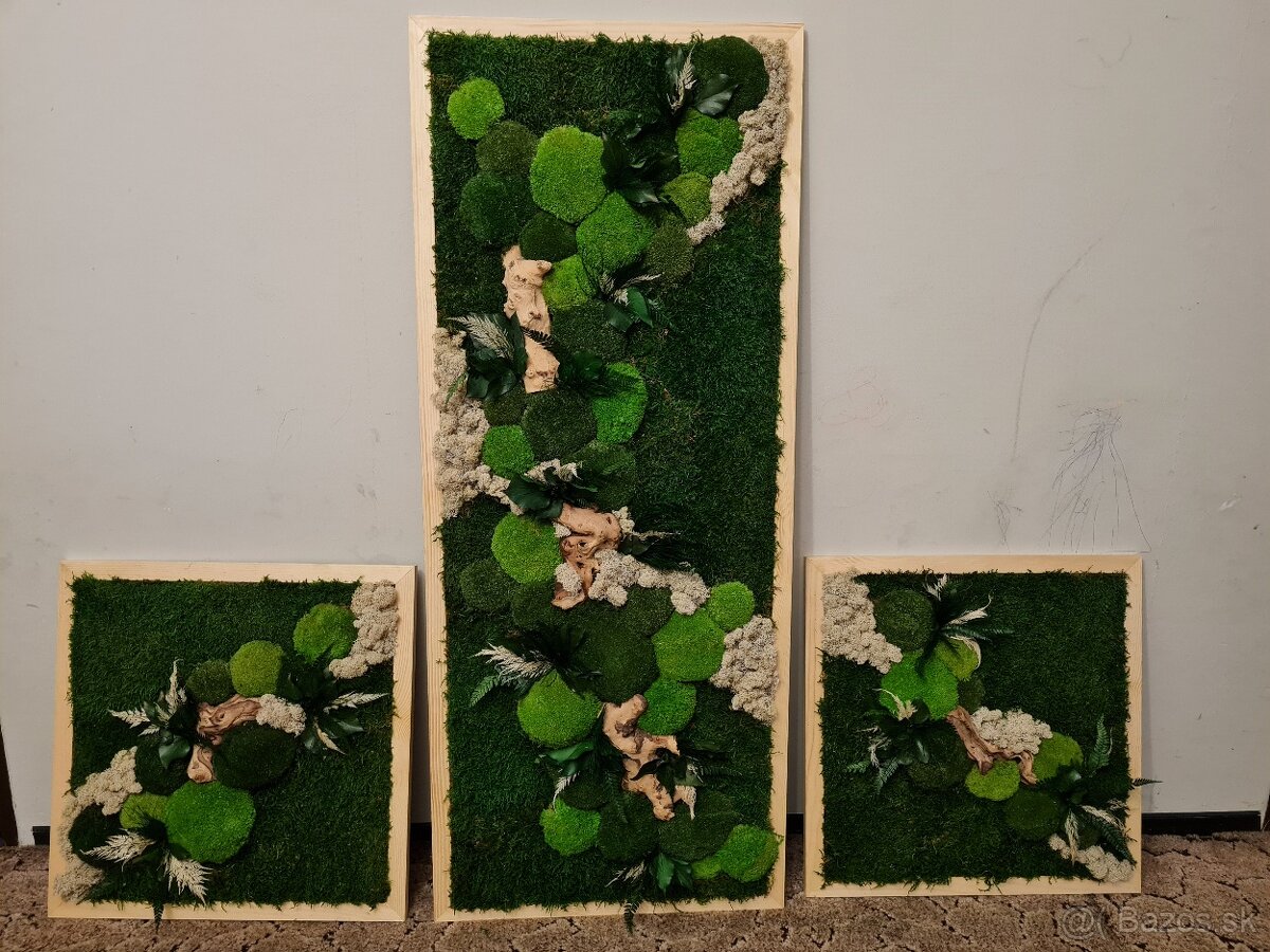 Machový obraz rastlín a bielu mach - 4