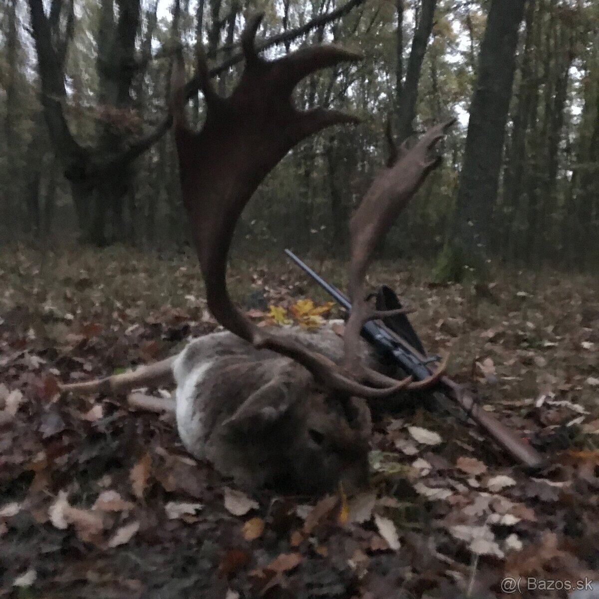 Celoročný lov- polovačka - 4