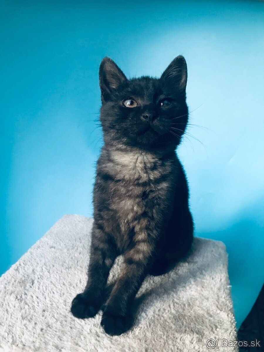 MARGO SI HĽADÁ DOMOV VO VNÚTRI - 4