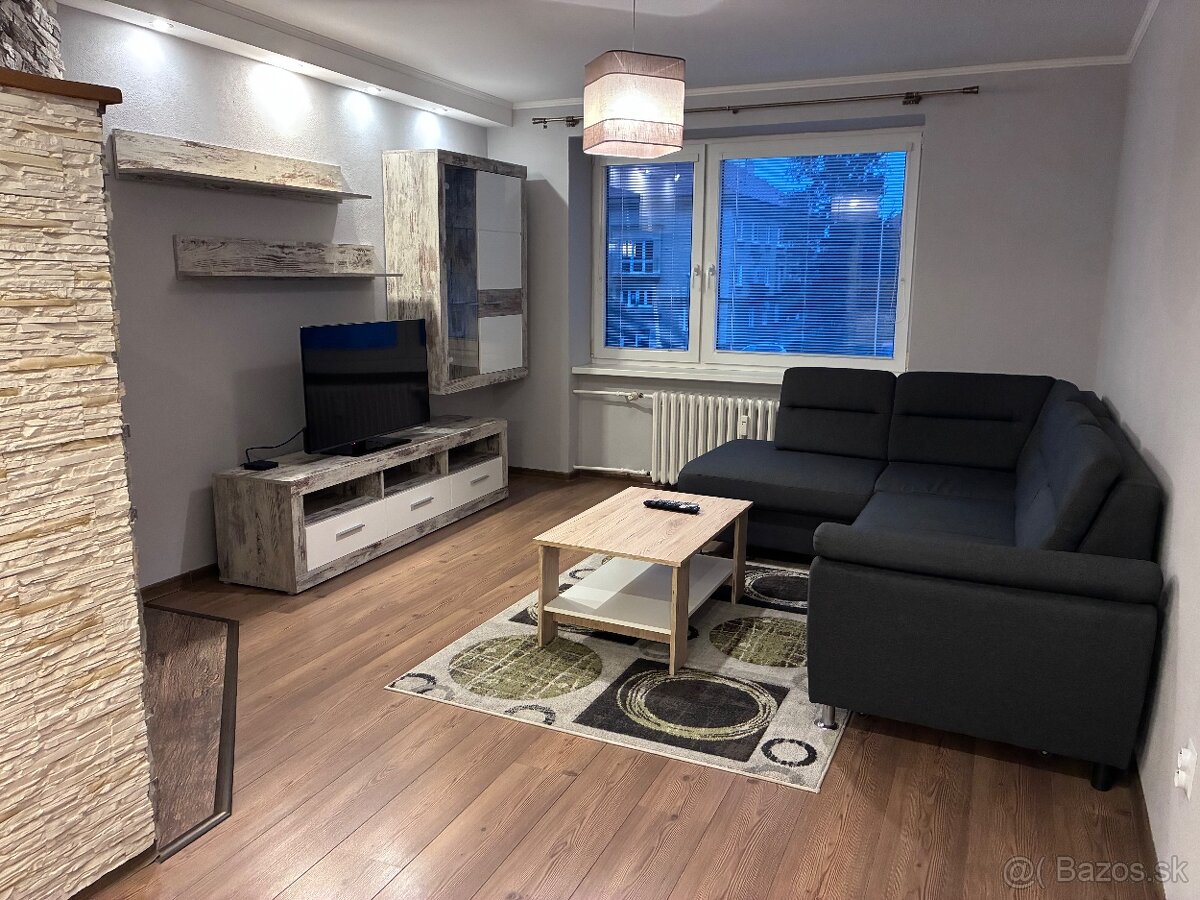 Prenajmem 2-izbovy velmi prijemny byt s krbom - 4