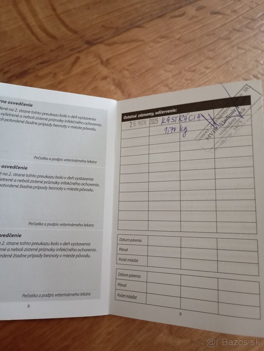 Zakrslé králiky na predaj - 4