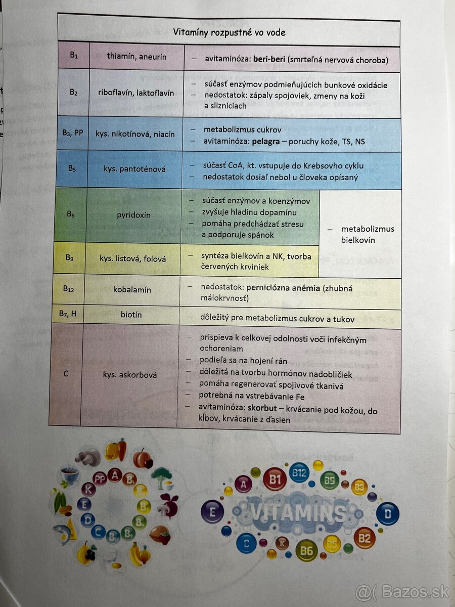 Maturita z biológie podklady - 4