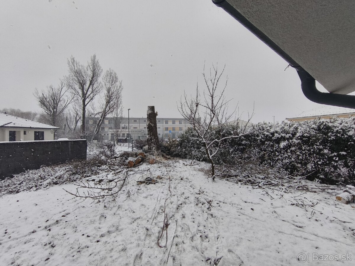 Darujem topoľové drevo - 4