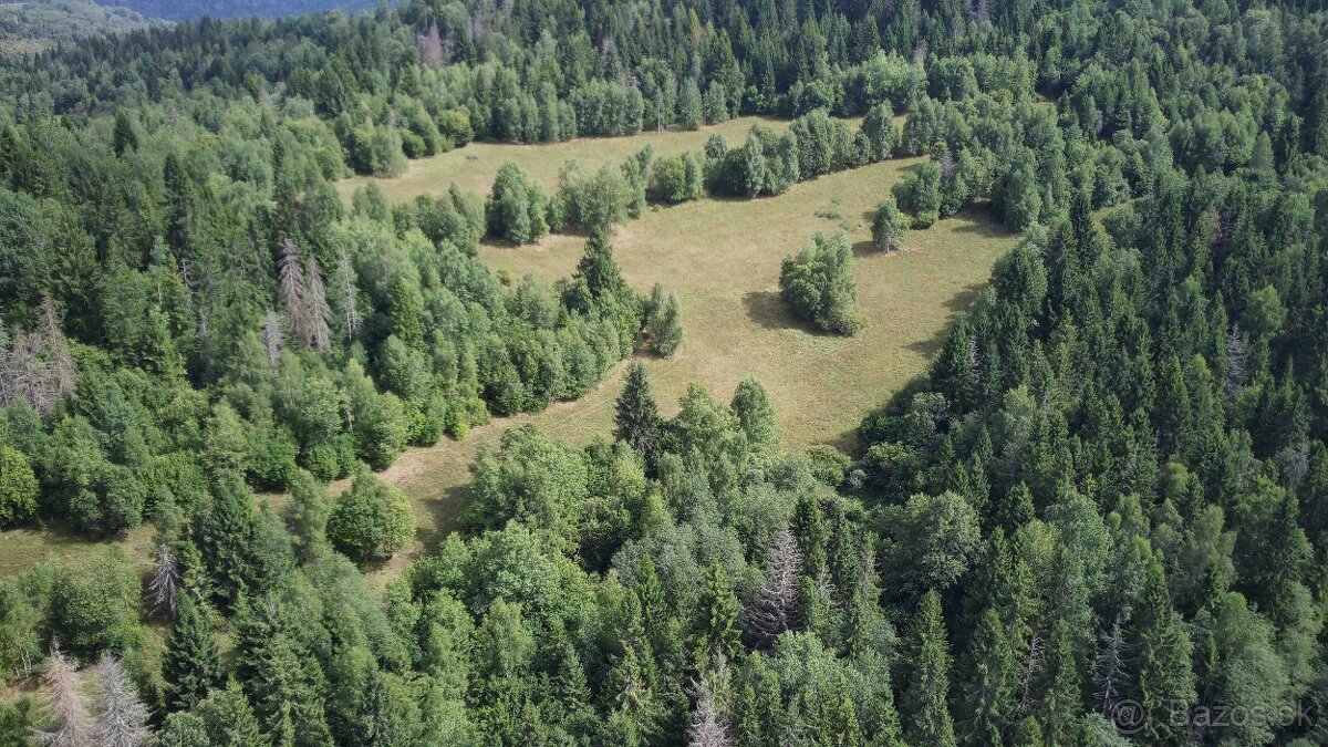 Polomka - 12.319 m2 ORNÁ PÔDA v pozemkových úpravách - 4