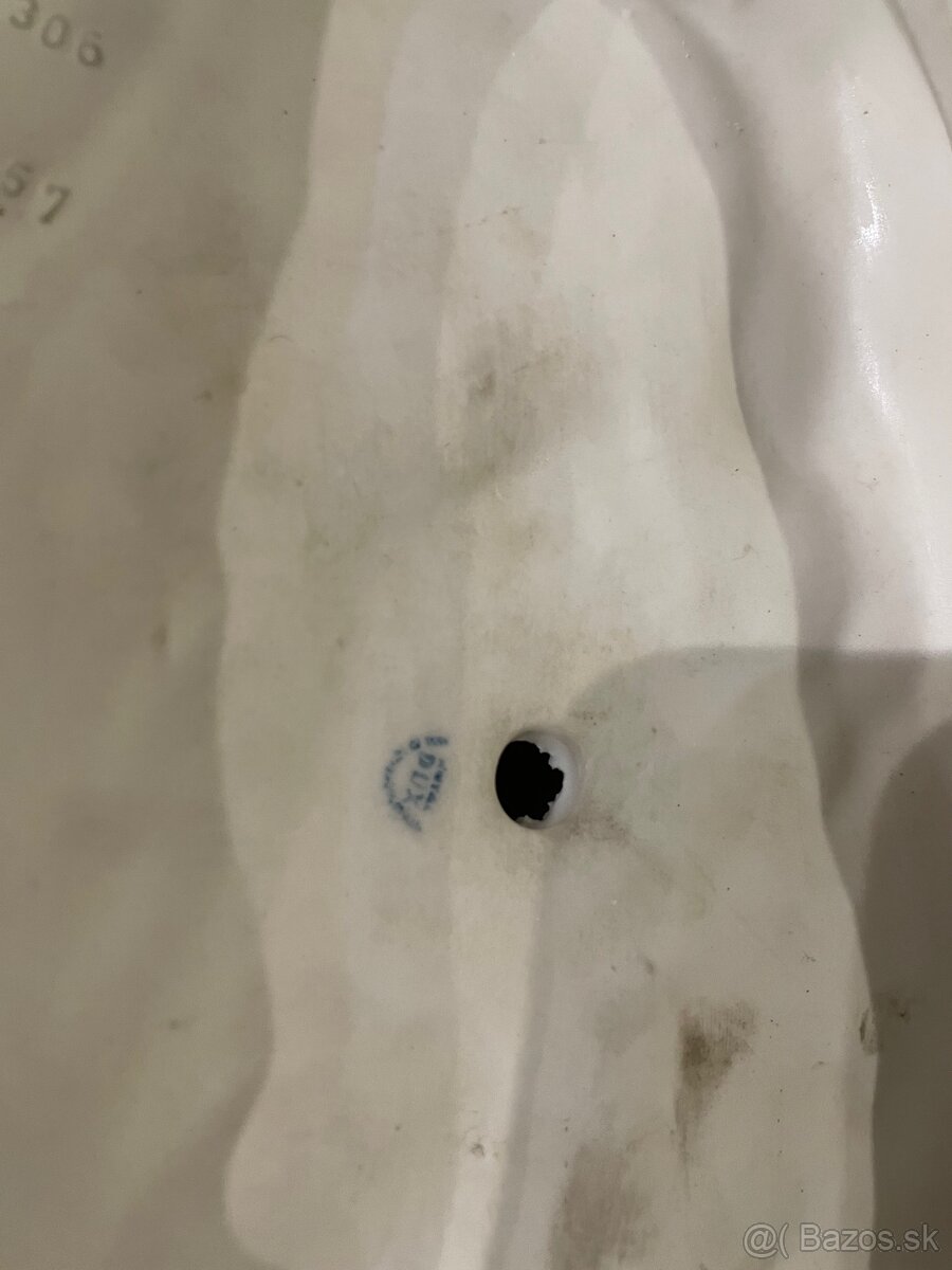 Royal dux - poľovnícky pes - 4