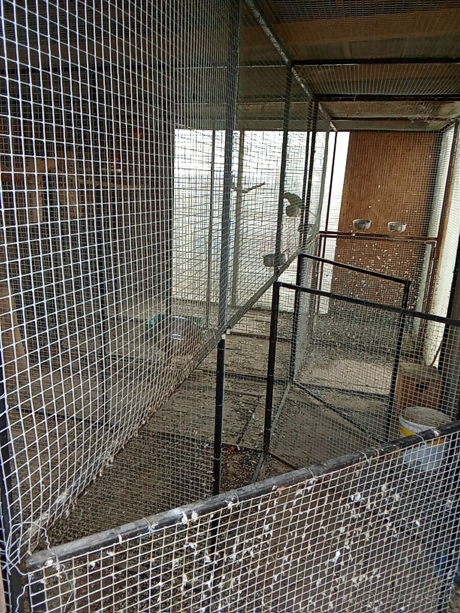 Predám volieru pre vtáky - 4