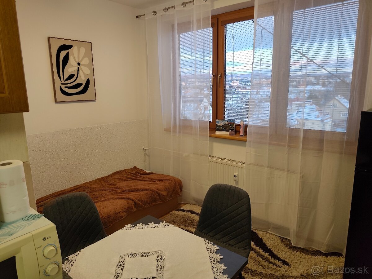 Prenájom 1 izbový byt - 4