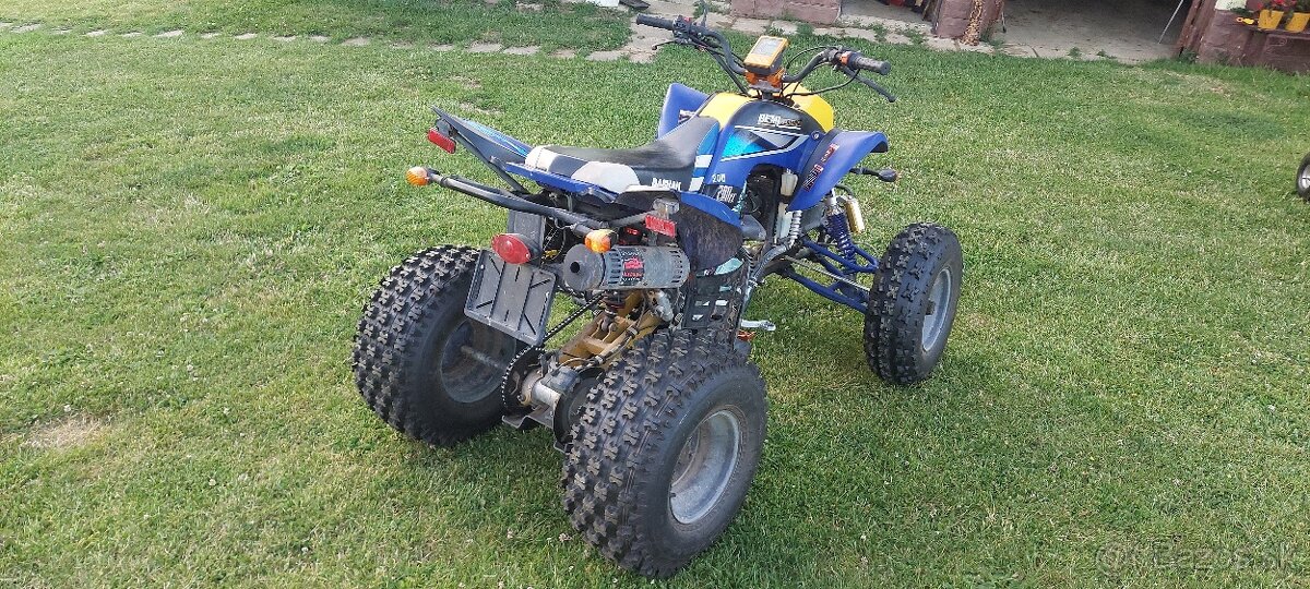 Bashan 200