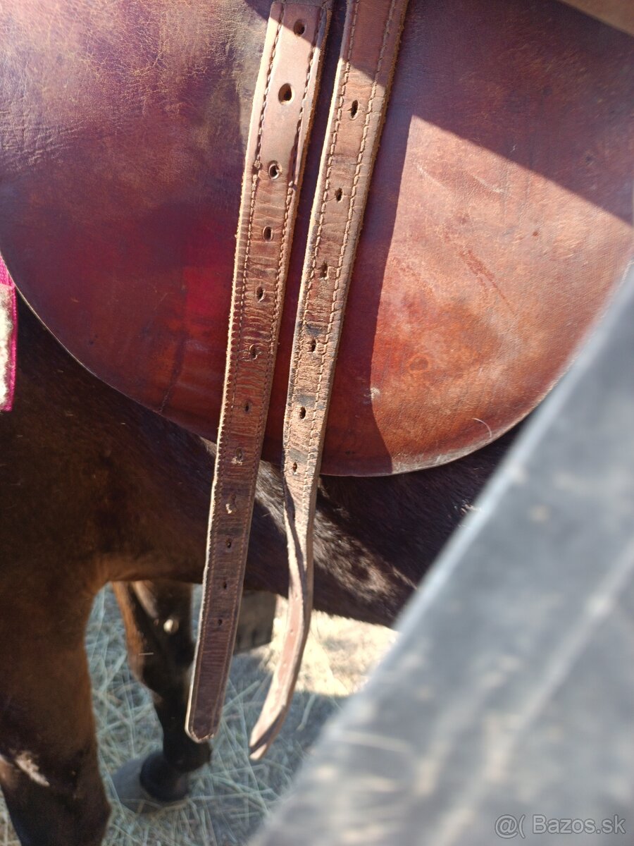 Austrálske sedlo - 4