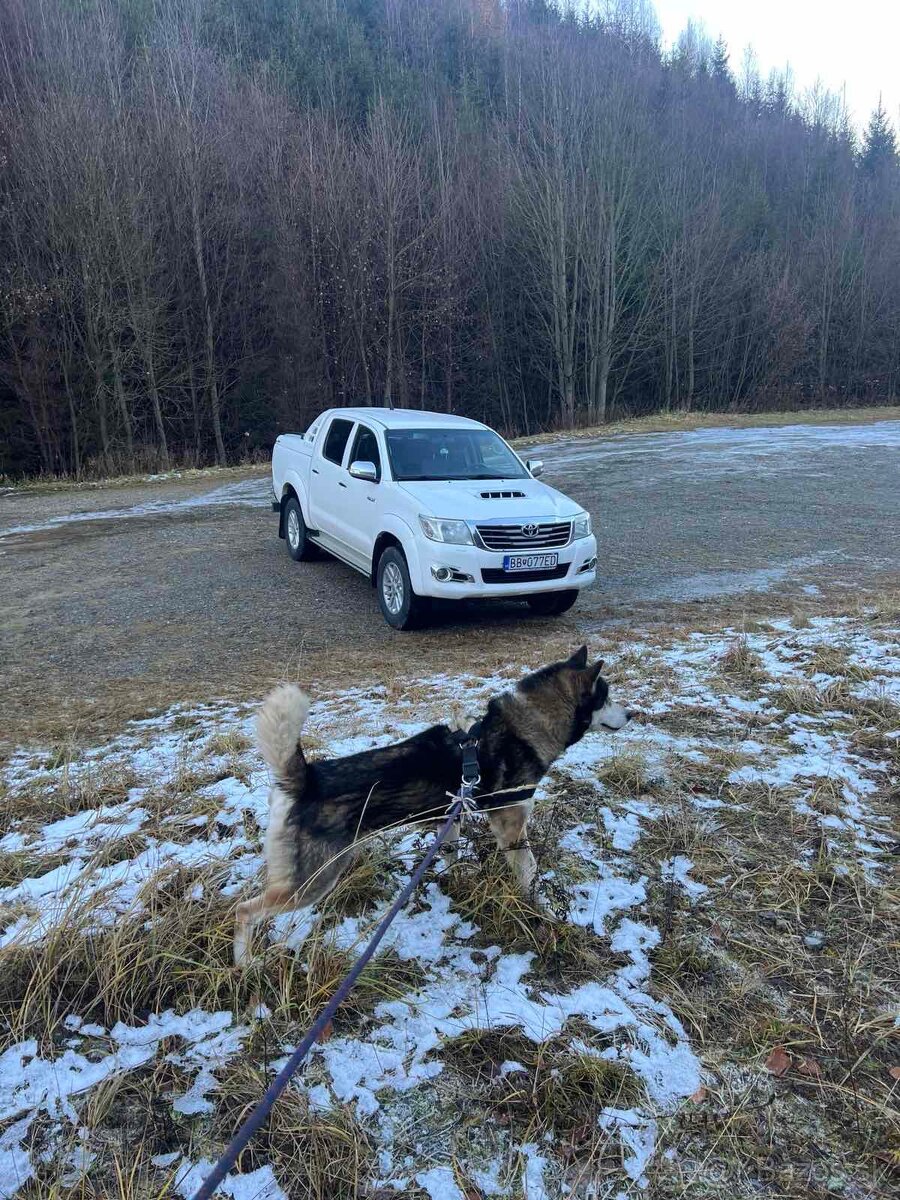 Toyota hilux 3 l