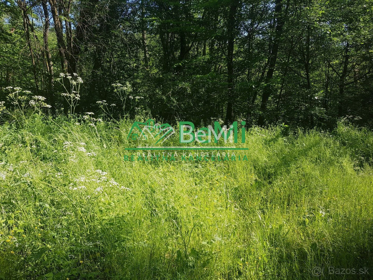 POZEMOK s prekrásnymi výhľadmi...Vyhne (057-14-DAR) - 4