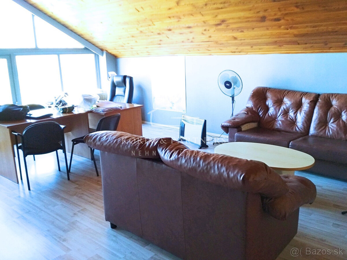 Komerčný objekt v Zlatnej na Ostrove, predaj - 4