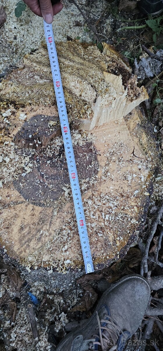 Predam orechove drevo - 4