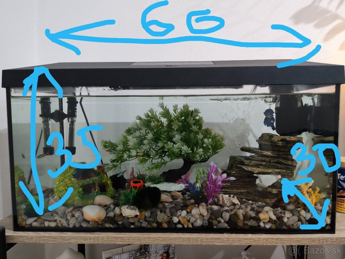 Aquarium aquarel 55l - 4