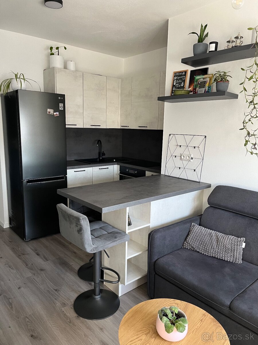 Prenájom 1,5-izb byt Vinohrady - 4