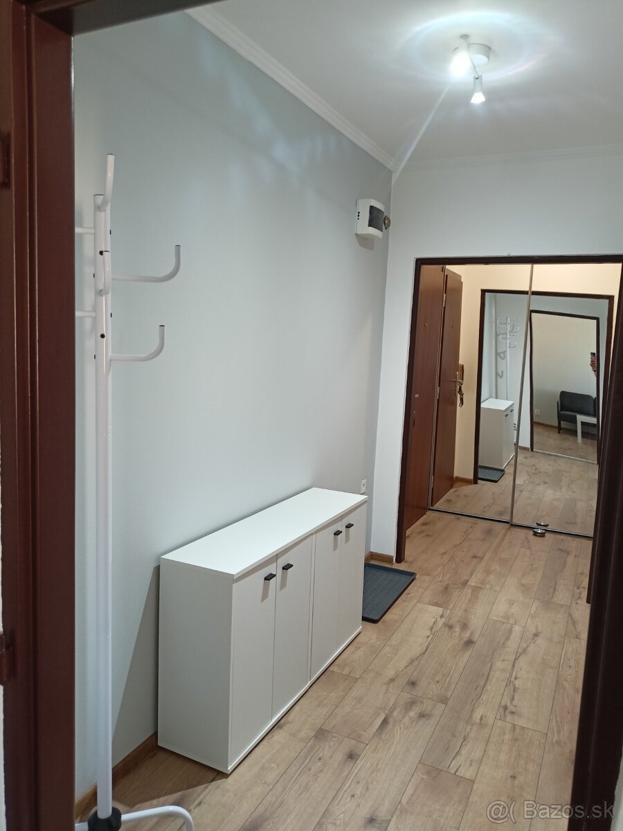 Velky 1i byt 42m2 - 4