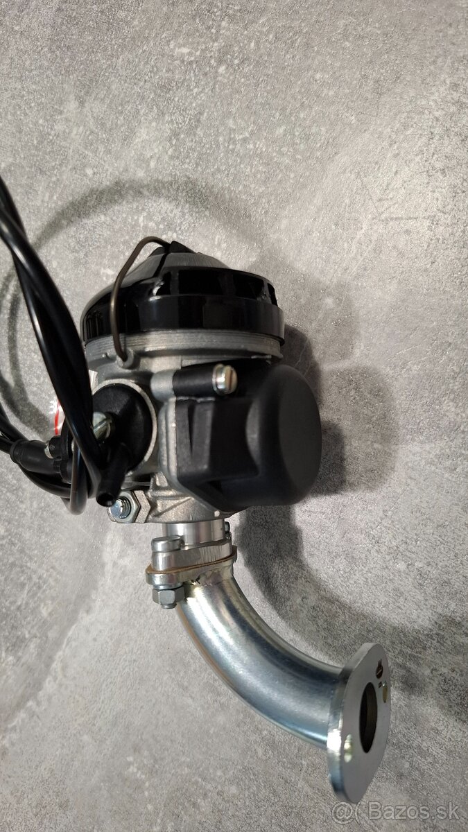 BABETTA DIELY - dellorto - 4