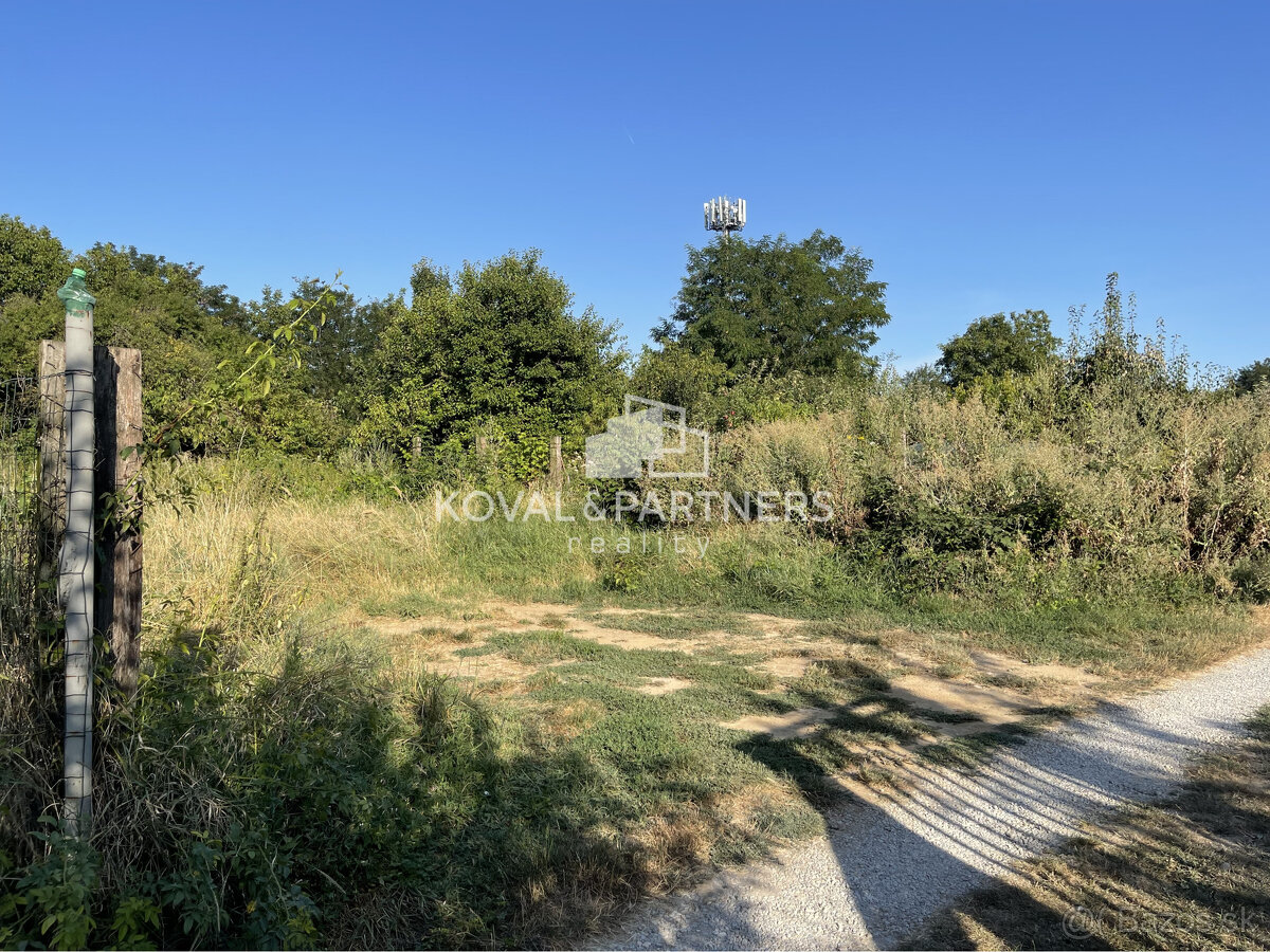 Záhrada v Nitre - v záhradkárskej oblasti - 4