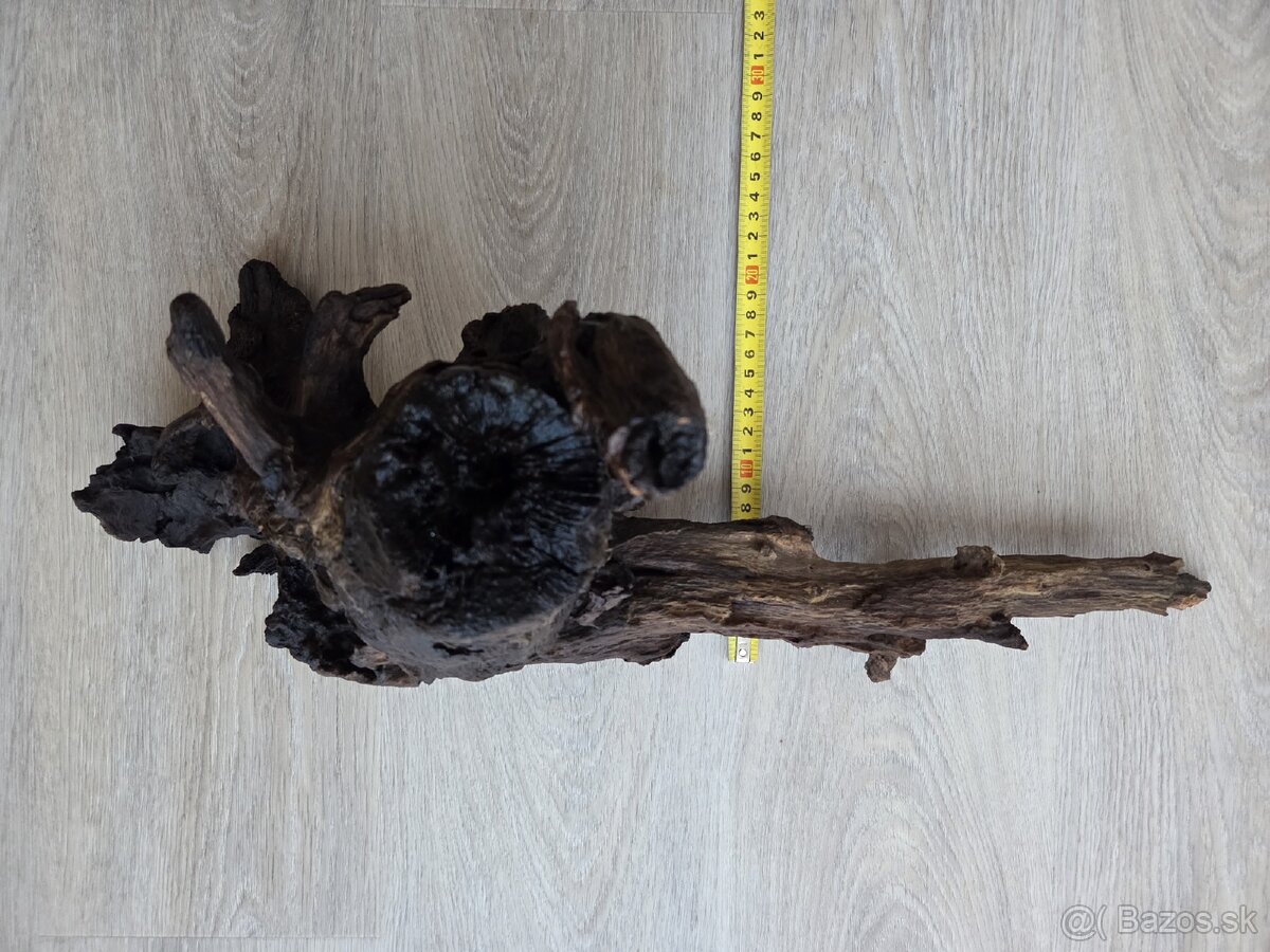 Koreň do akvária / terária - 4