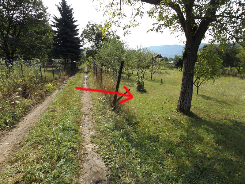 Predám pozemok – záhradu - 4