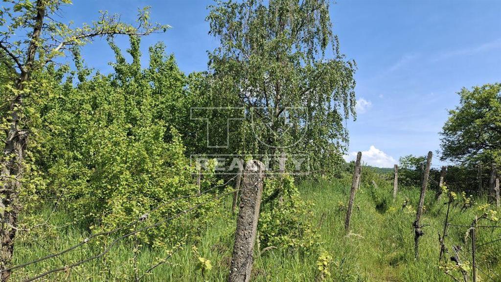 Čarovný rekreačný pozemok 14,9 árov, na hranici... - 4