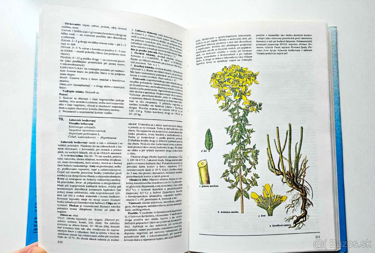kniha 'Naše liečivé rastliny' - 4