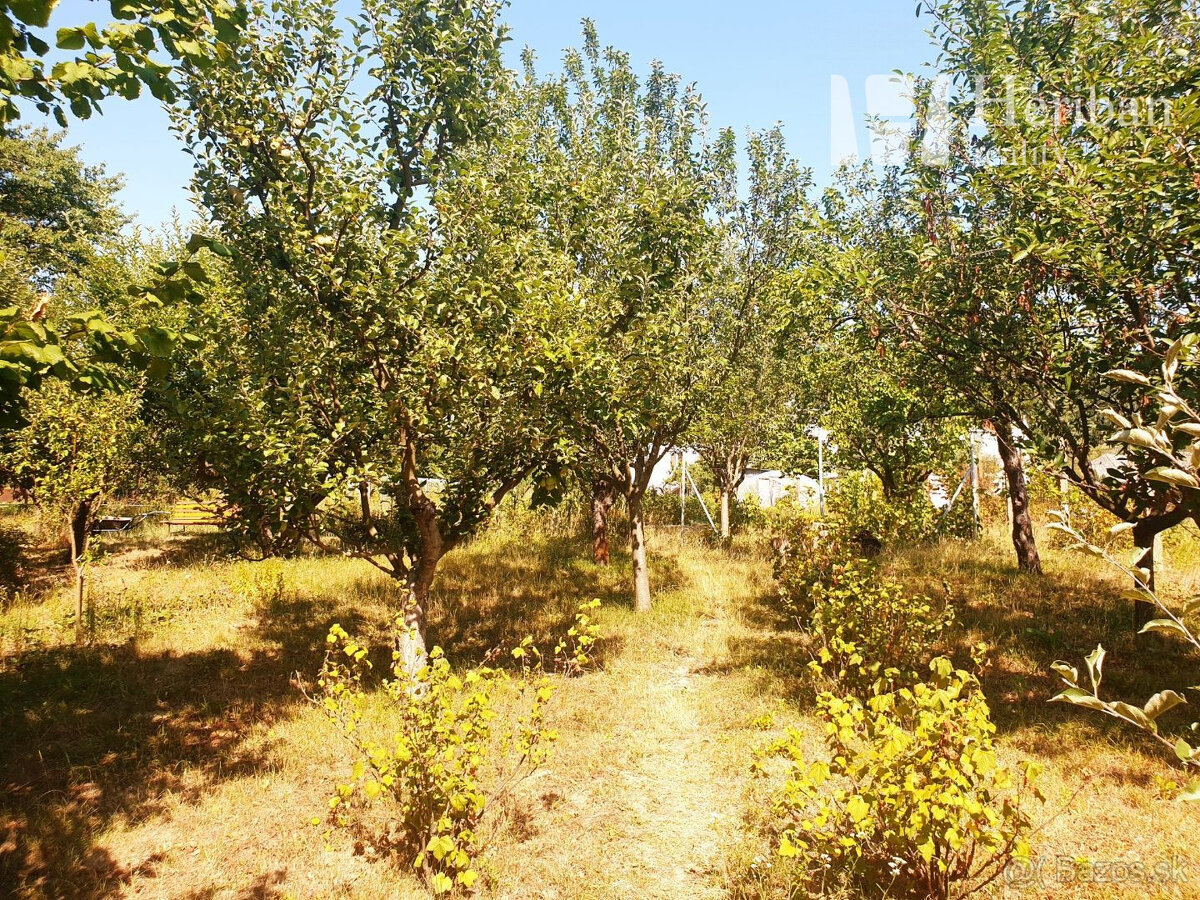 2-generačný rod.dom,12,8ár.pozemok,obec Leles-okres Trebišov - 4