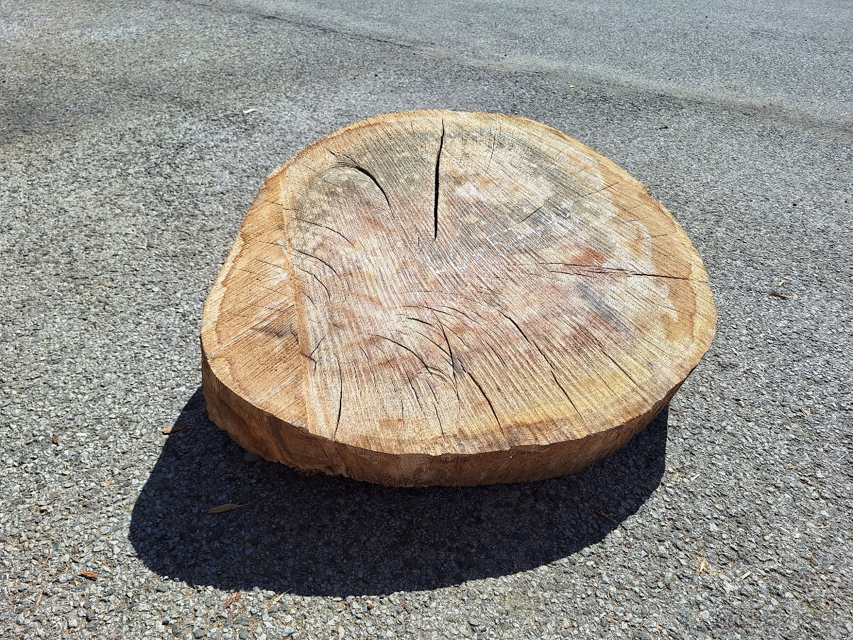 dubové koláče, priečne rezy - 4