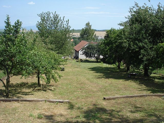 Krnča dva domy + veľká záhrada - 4