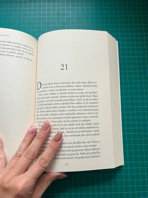 Cesta ku studni – Diana Wallis Taylor - 4