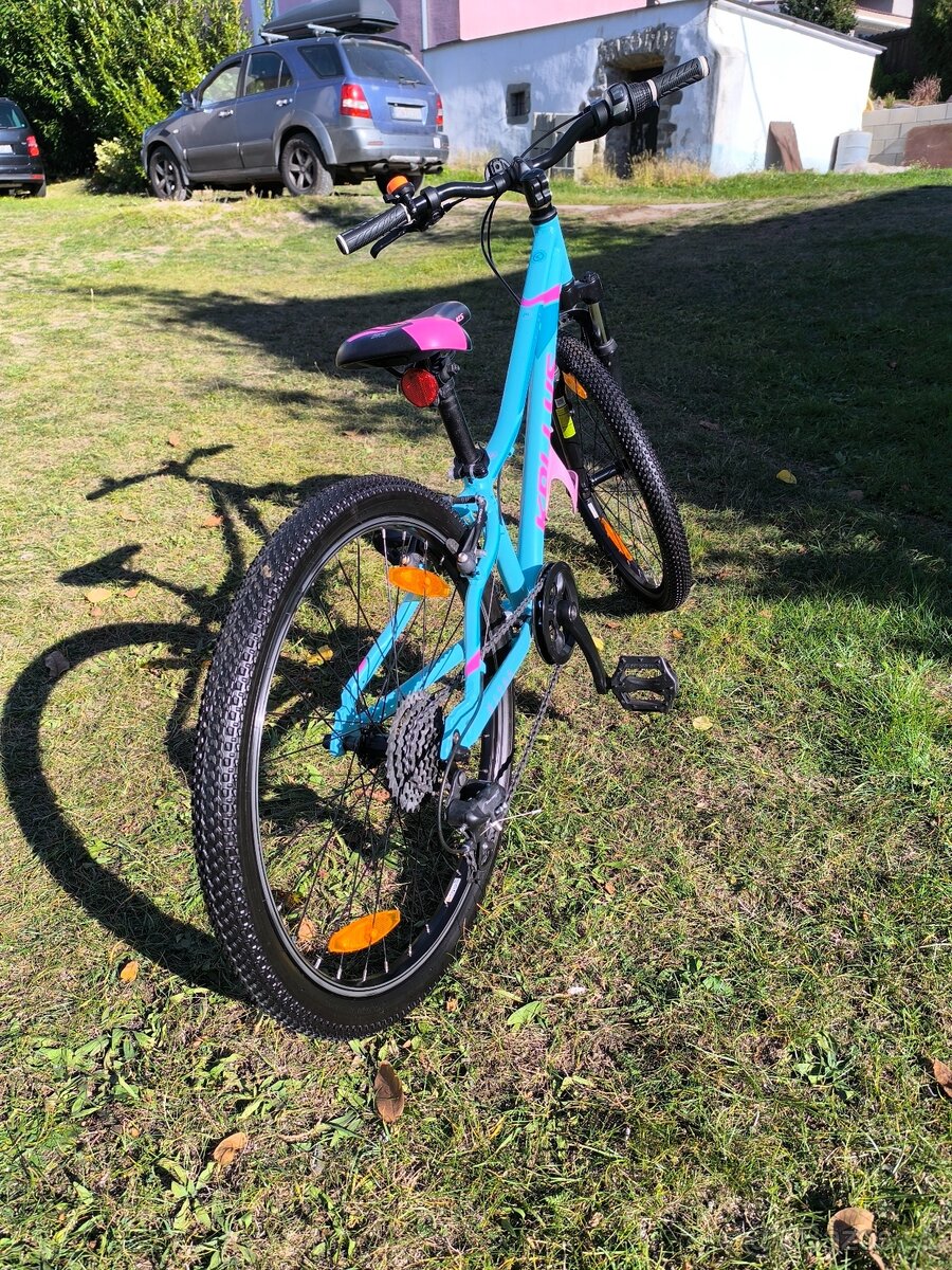 Kellys kiter 50 24" - 4