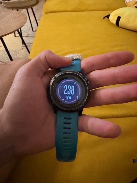 Garmin Fenix 3 HR Sapphire - 4