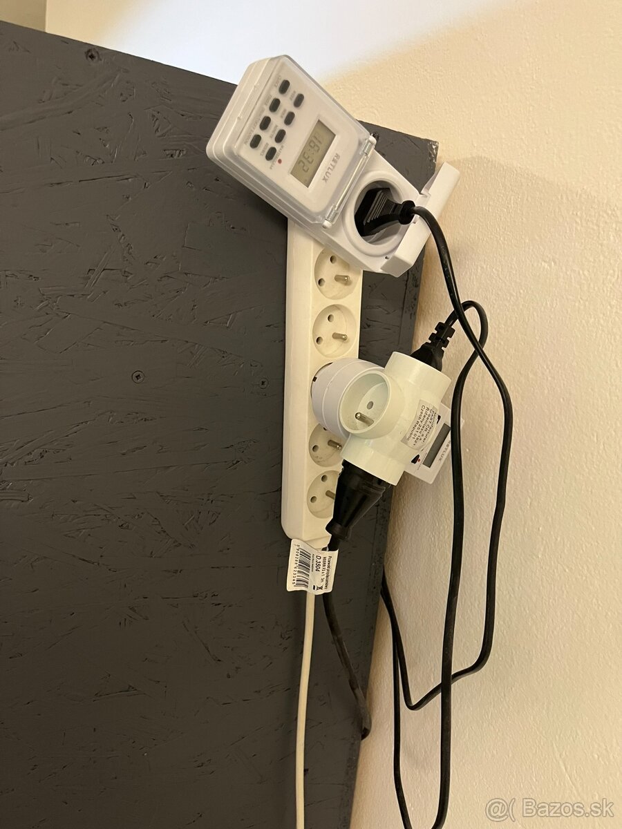 Agama bradatá + terárium - 4