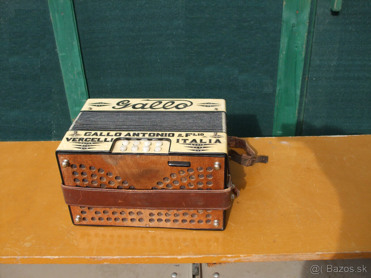 Akordeón GALLO Antonio.. - 4