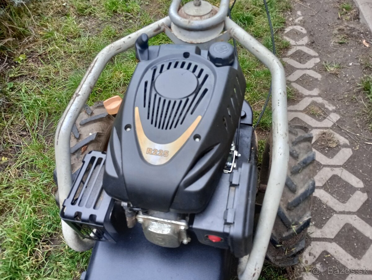 Dakr bubnova kosacka - 4