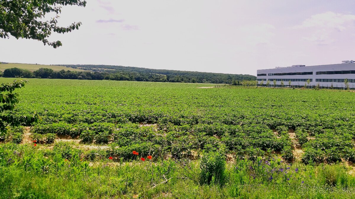 INVESTIČNÉ POZEMKY V ZÁBORSKOM - 4