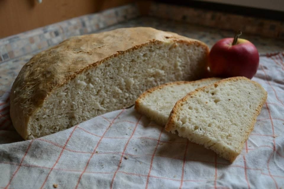 kvások lievito madre - 4